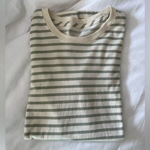 American Giant Classic Cotton Crew Tee Striped, Turtledove Eucalyptus, Small